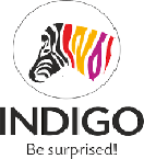 Indigo Paints