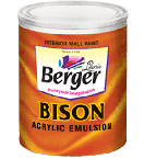 Berger Paints Economy 