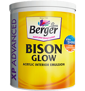 Berger Paints Economy 